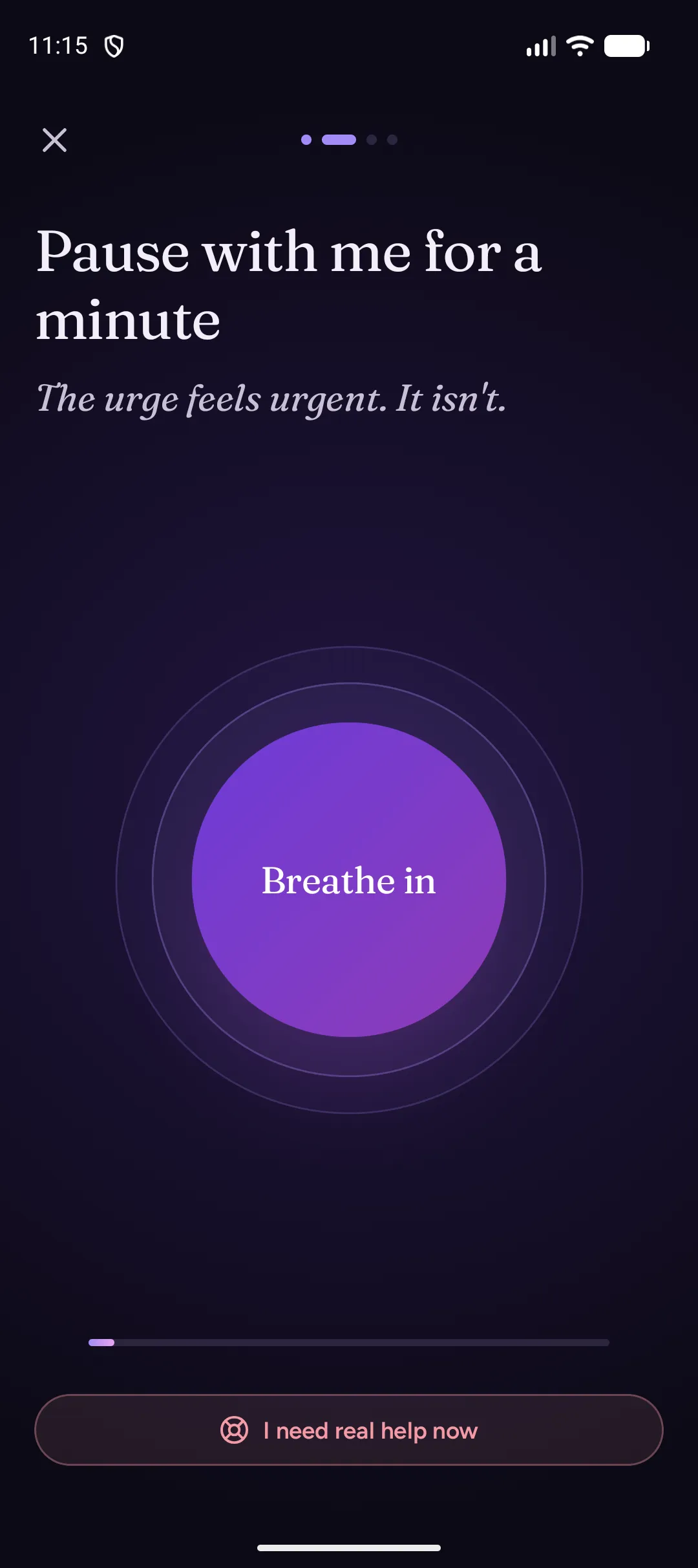 SOS step 2: Pause with me for a minute. The urge feels urgent. It isn't.